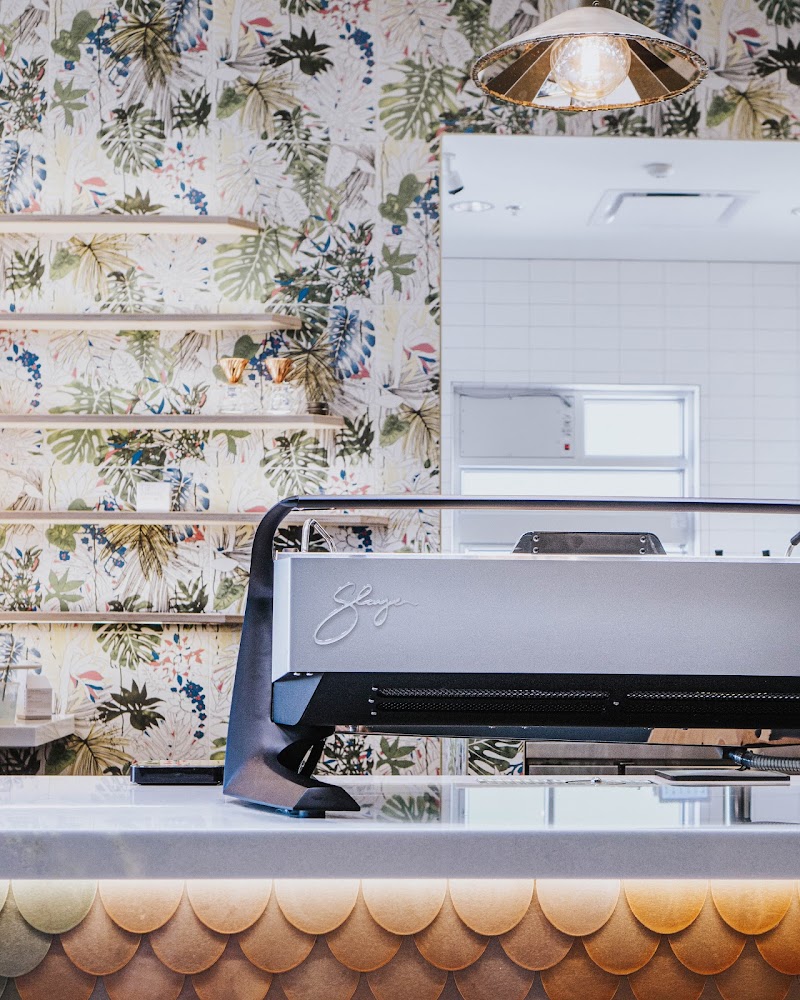 St. Rose - Mothership Coffee photo 3