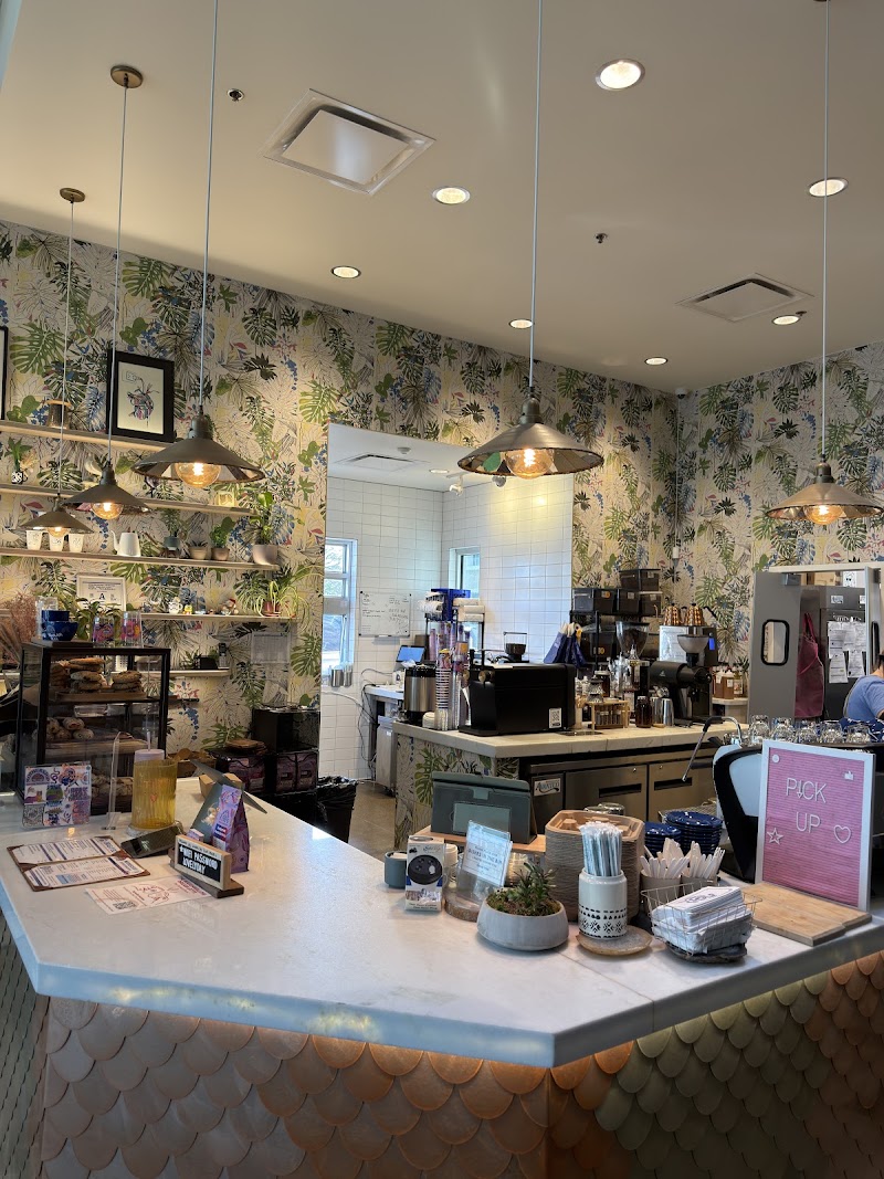 St. Rose - Mothership Coffee photo 2