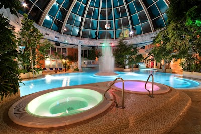 Vital Hotel Westfalen Therme Wellness Resort & SPA