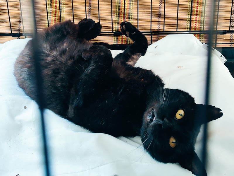 Clínica Veterinaria la Fuente