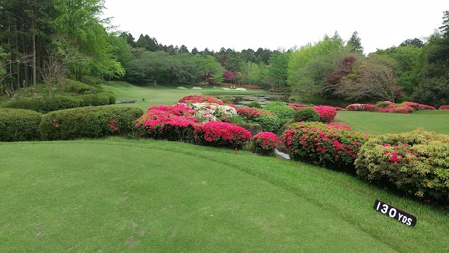 Caledonian Golf Club - Photo 9