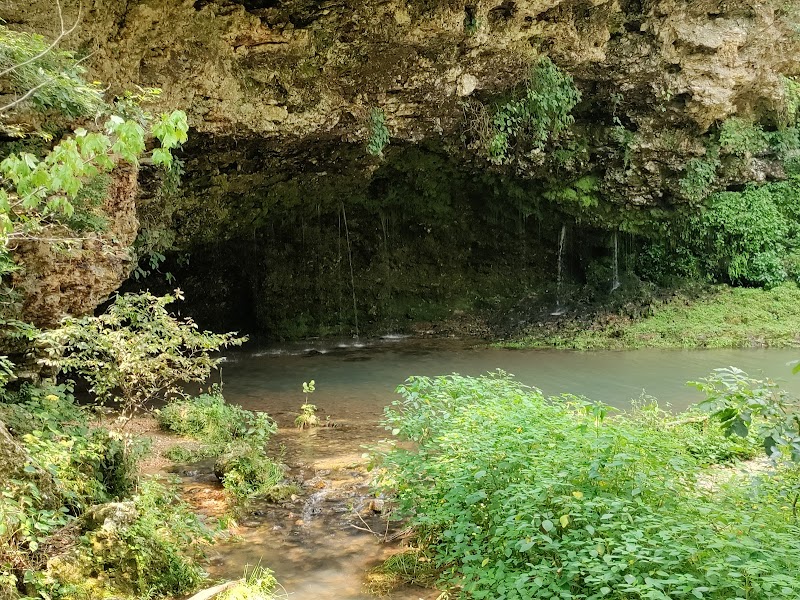 Natural Falls State Park photo 3