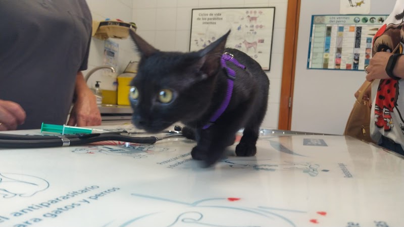 Clínica Veterinaria Añó