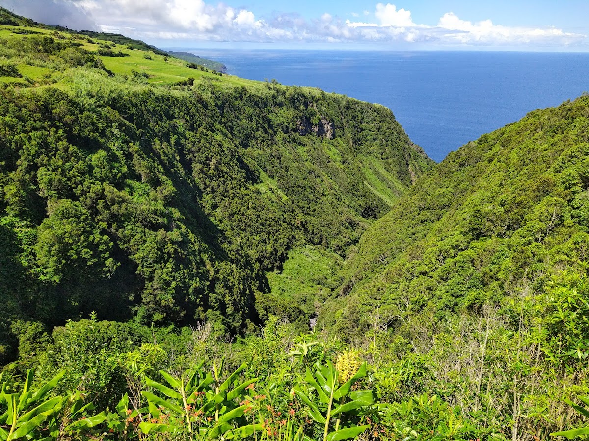 Miradouro da Ribeira Funda