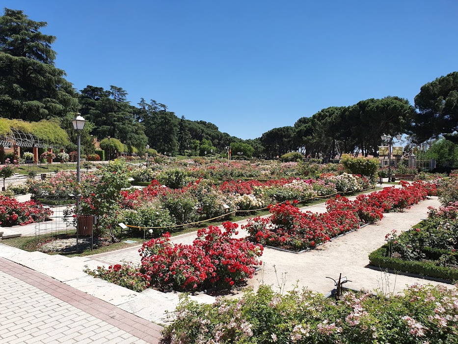 Parque del Oeste fotoğraf 1