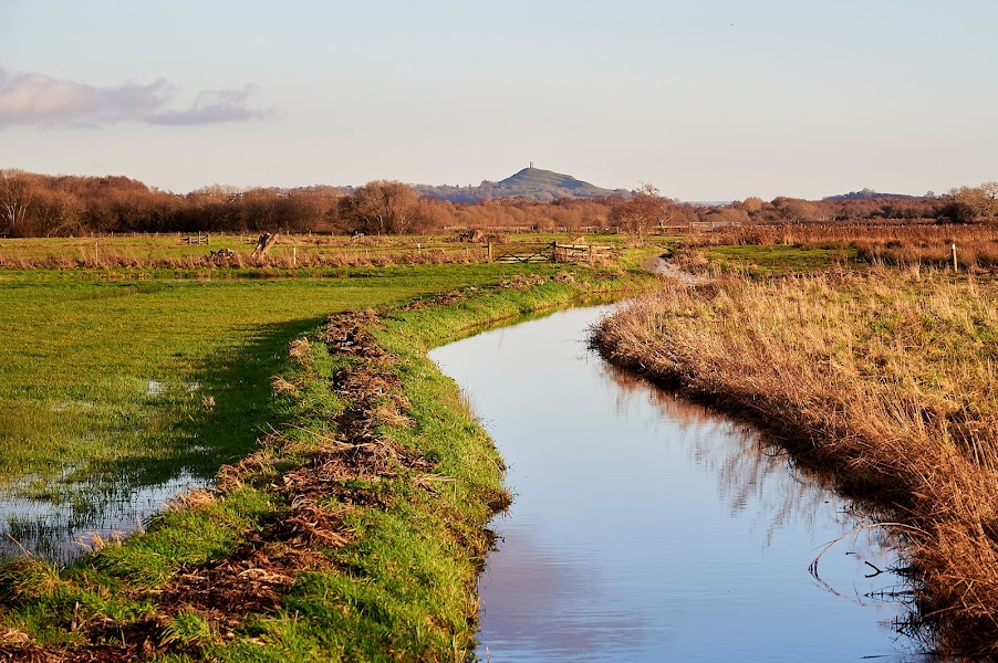 Shapwick Moor