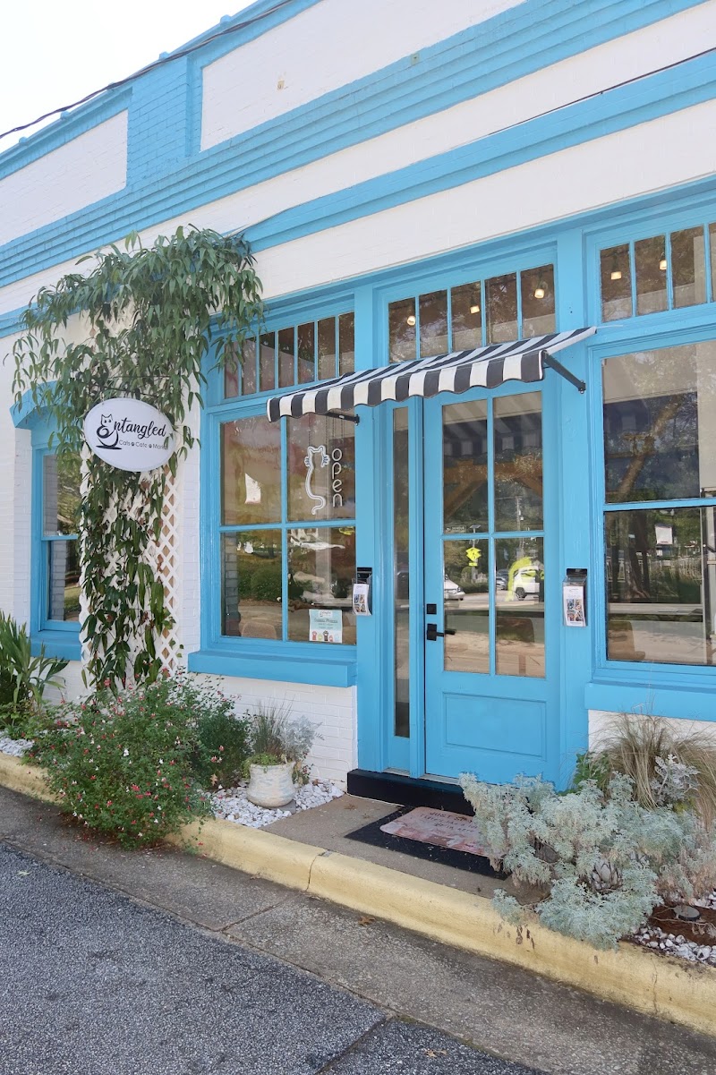 Entangled Cat Cafe