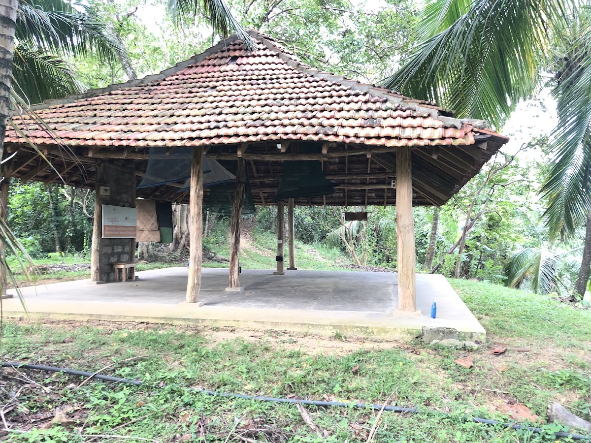 Ashram Sri Lanka Yoga-Meditation retreat center — 3