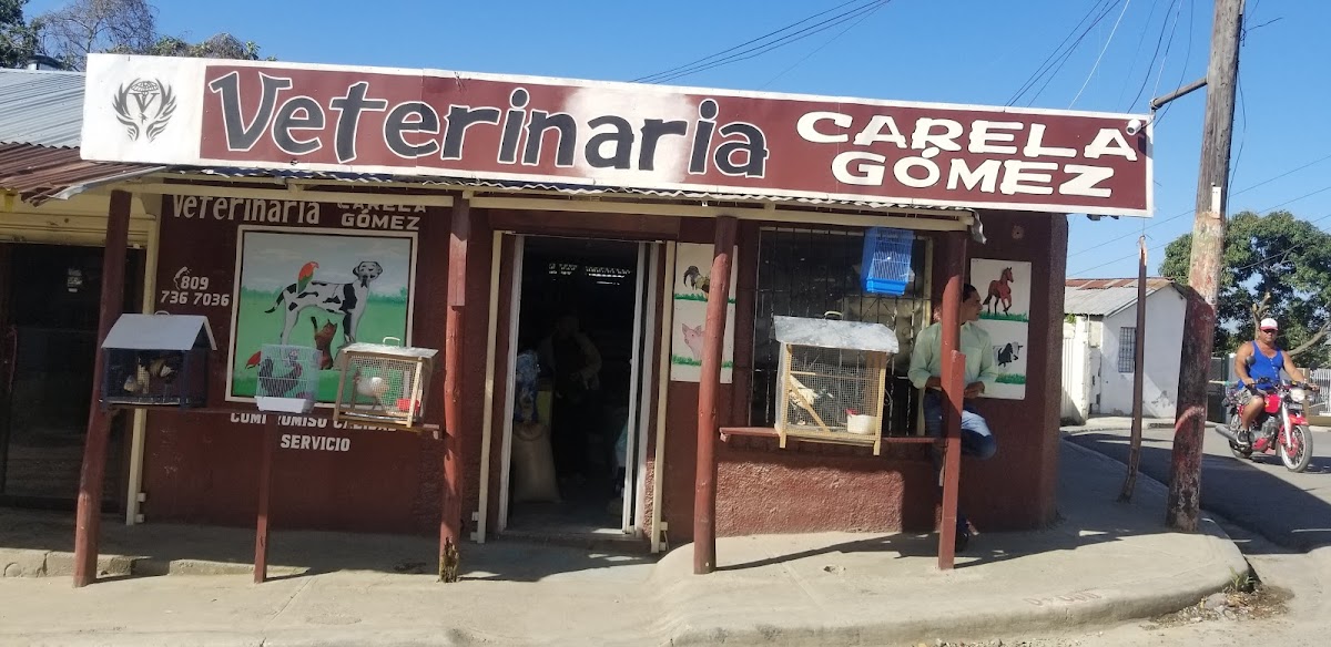 Veterinaria Carela Gómez - Imagen 3