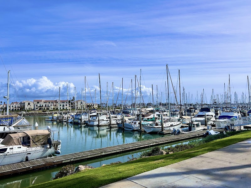 Harbor Cove Cafe photo 4