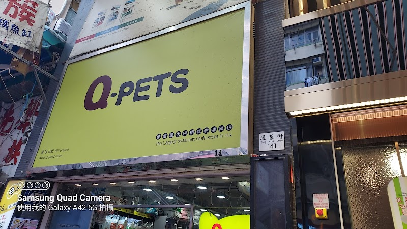 Q-Pets 通菜街134號