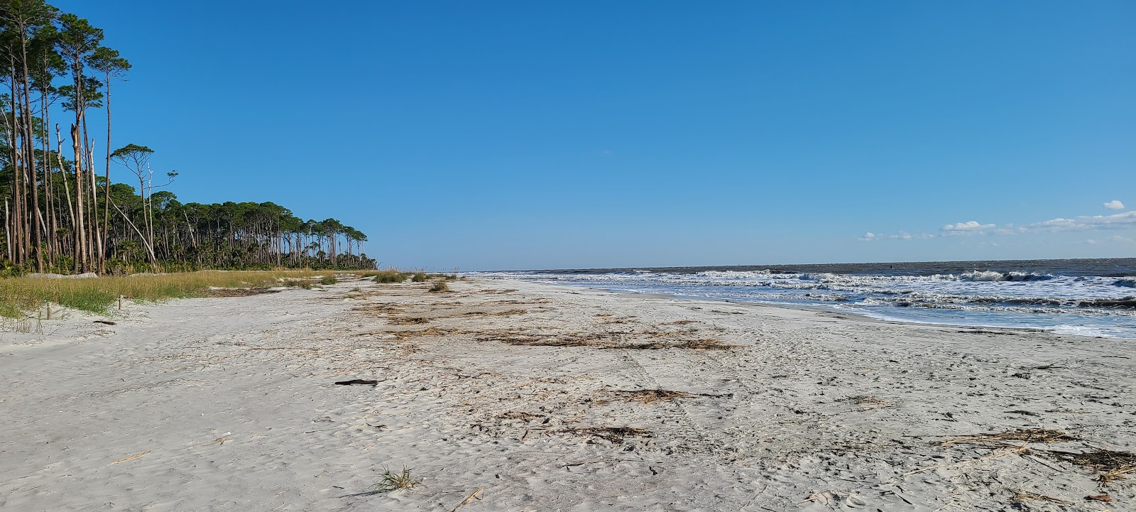 Hunting Island Lagoon