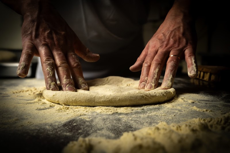 El Cantegril photo 2