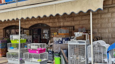 חנות חיות ג'ונגל רמלה - משלוחים בלוד והסביבה | מיטות לכלבים | אוכל לכלבים