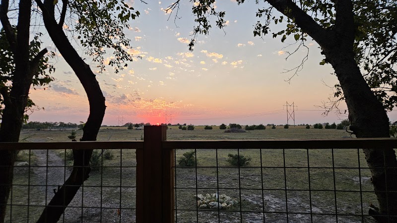 Diamond Springs Ranch - Photo 6