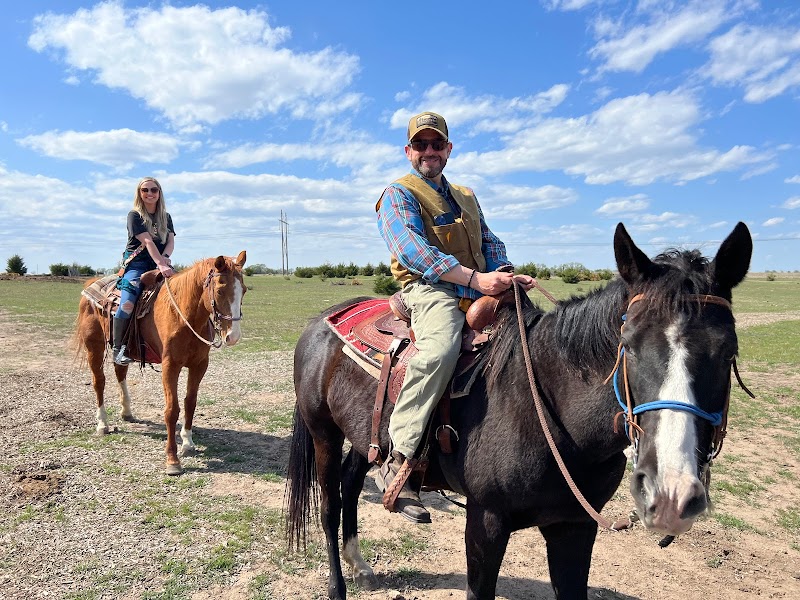 Diamond Springs Ranch - Photo 1