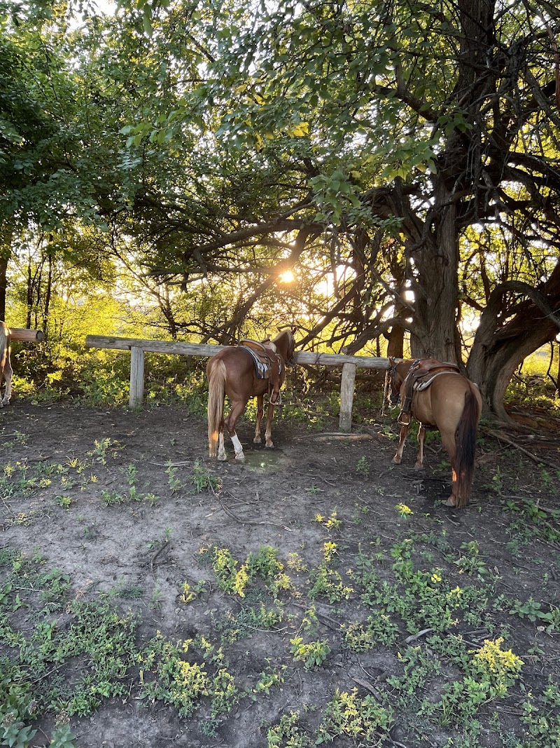 Diamond Springs Ranch - Photo 5