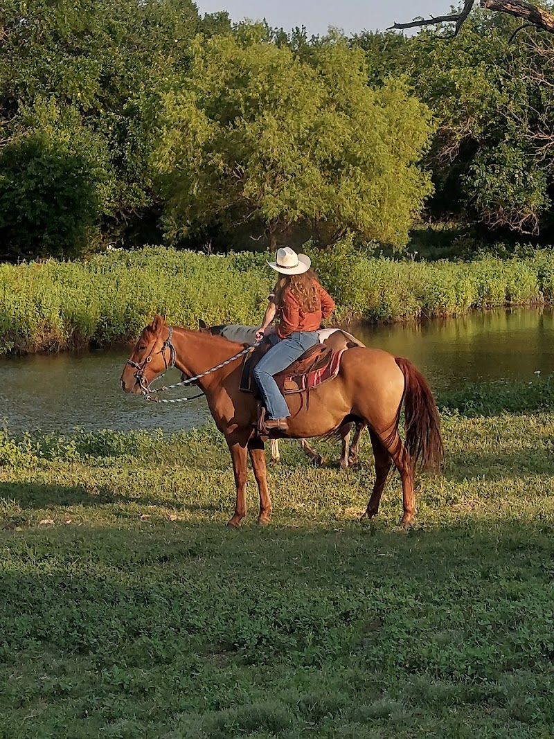 Diamond Springs Ranch - Photo 3