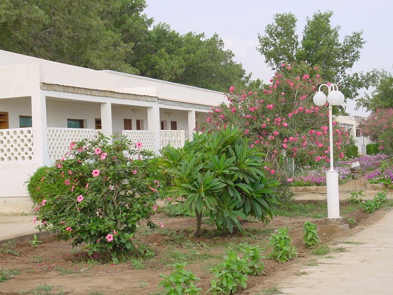Gurgusum Beach Resort