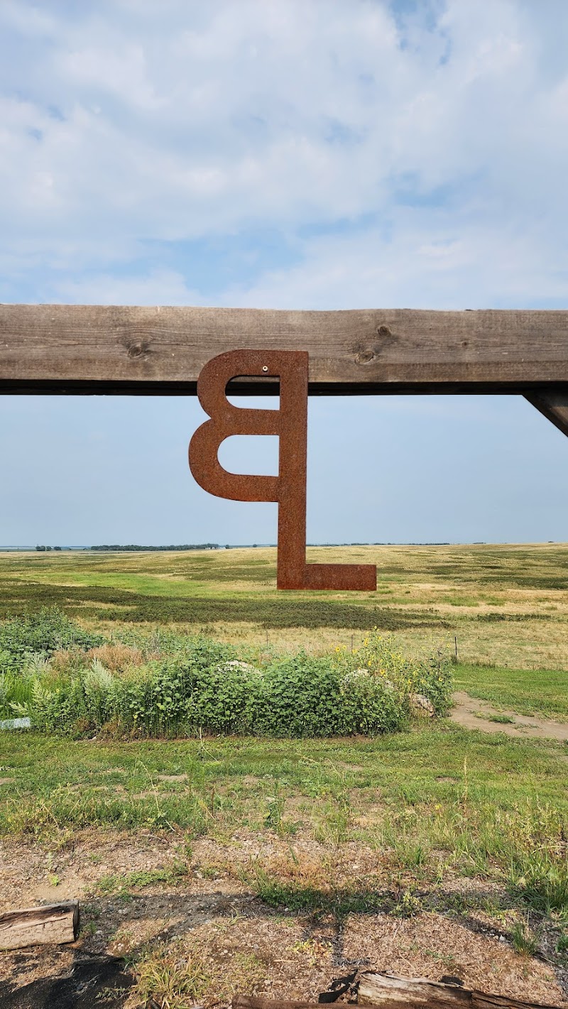 Black Leg Ranch - Photo 2
