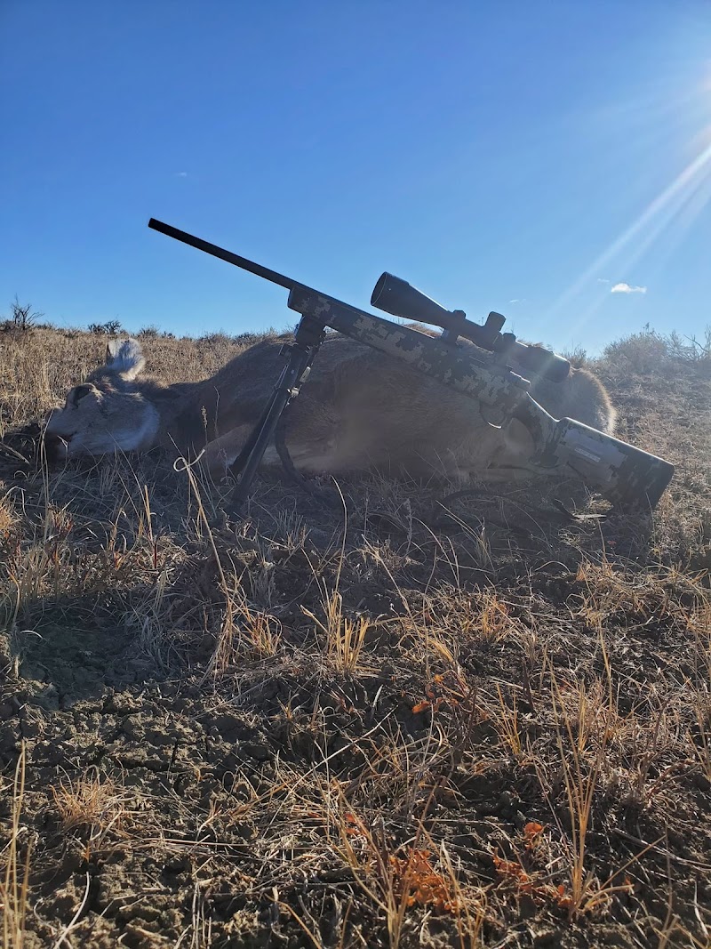 Billingsley Ranch Outfitters - Photo 5