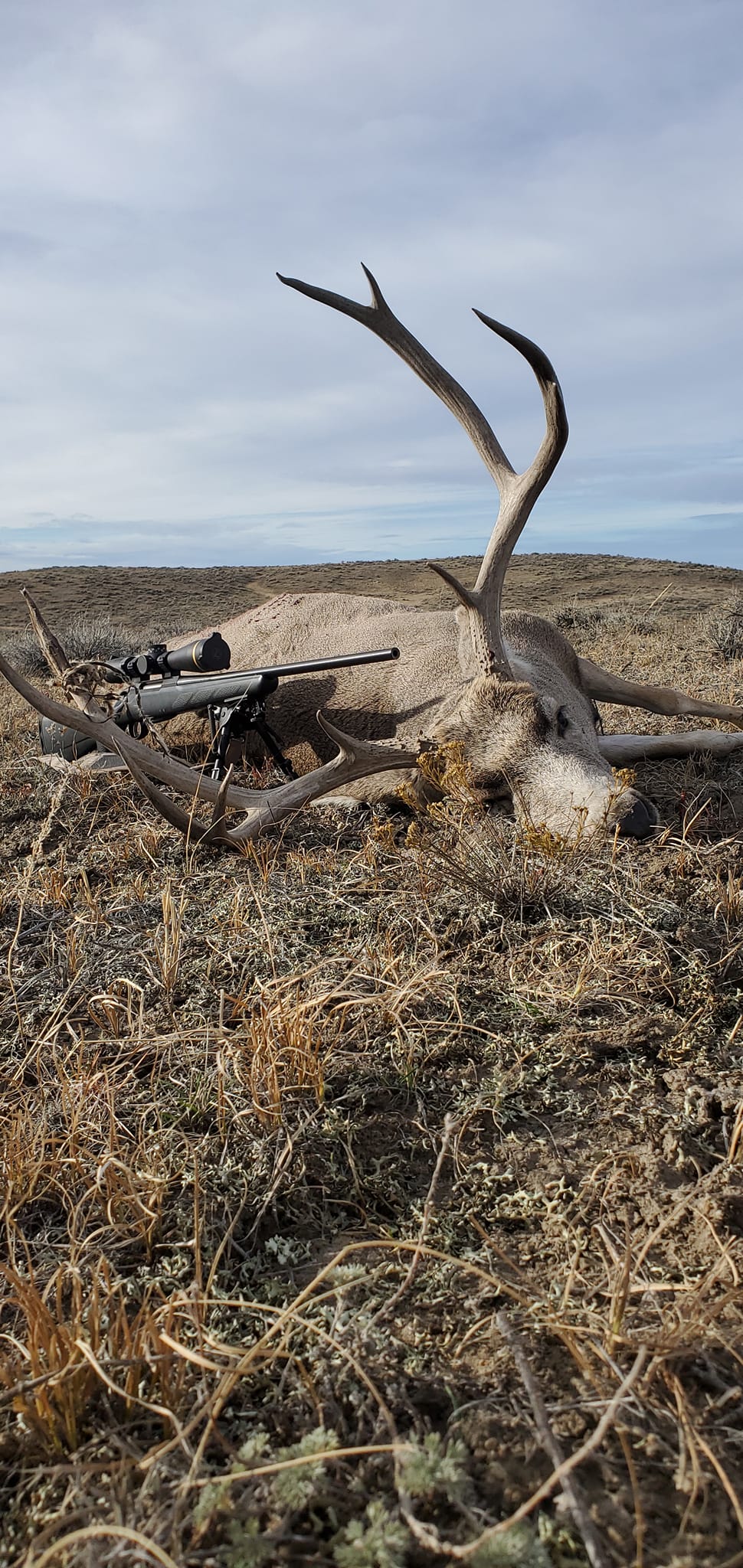 Billingsley Ranch Outfitters
