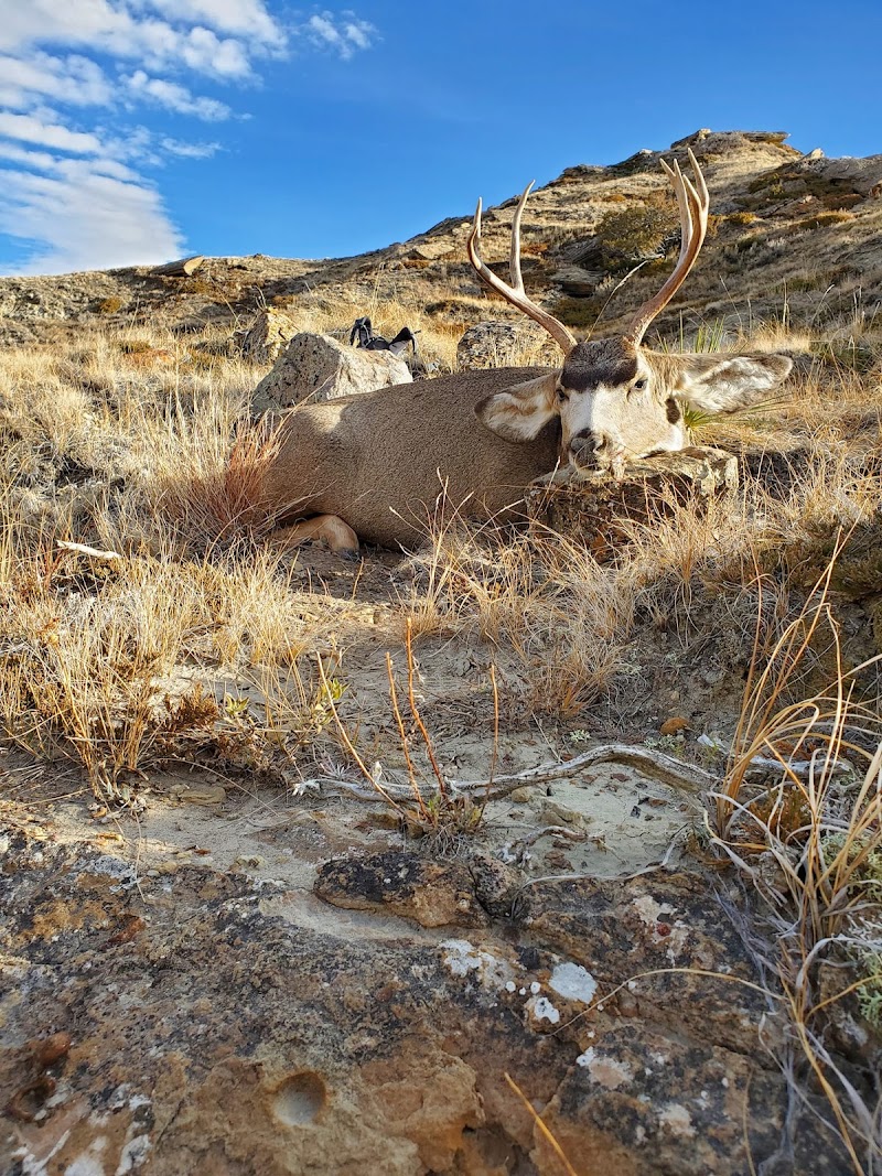 Billingsley Ranch Outfitters - Photo 6
