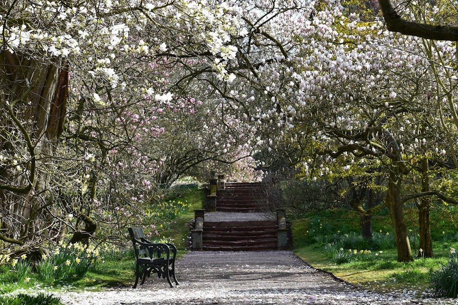 Hodnet Hall Gardens