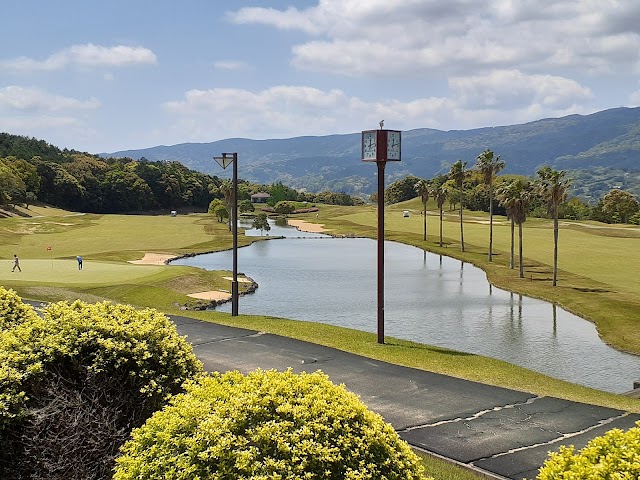 Peninsula Owners Golf Club - Photo 2