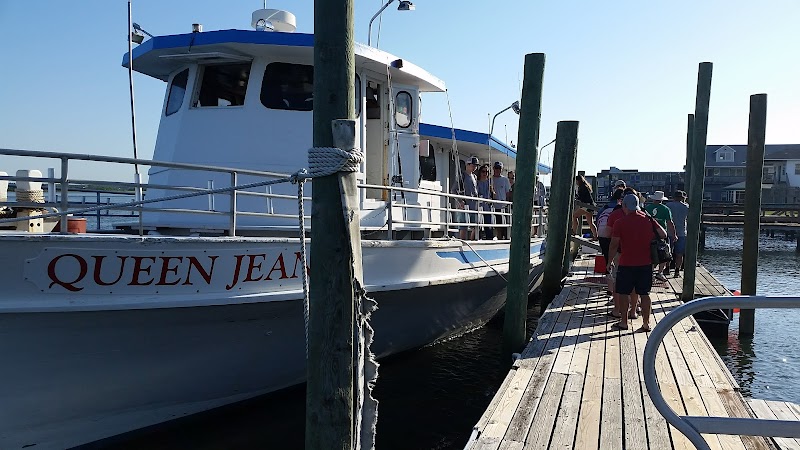 Topsail Fishing Charters