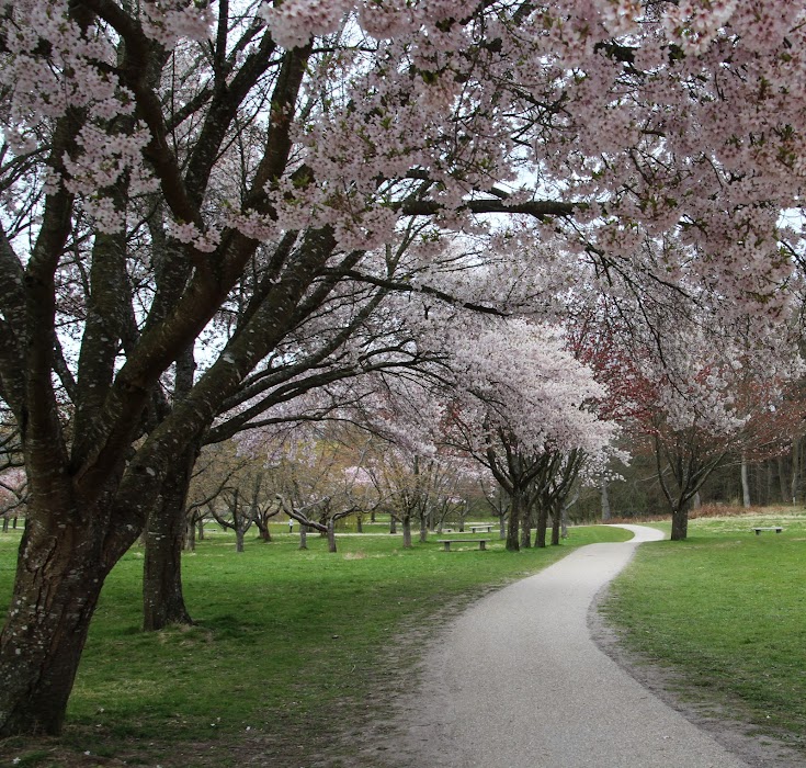 Mindeparken fotoğraf 1
