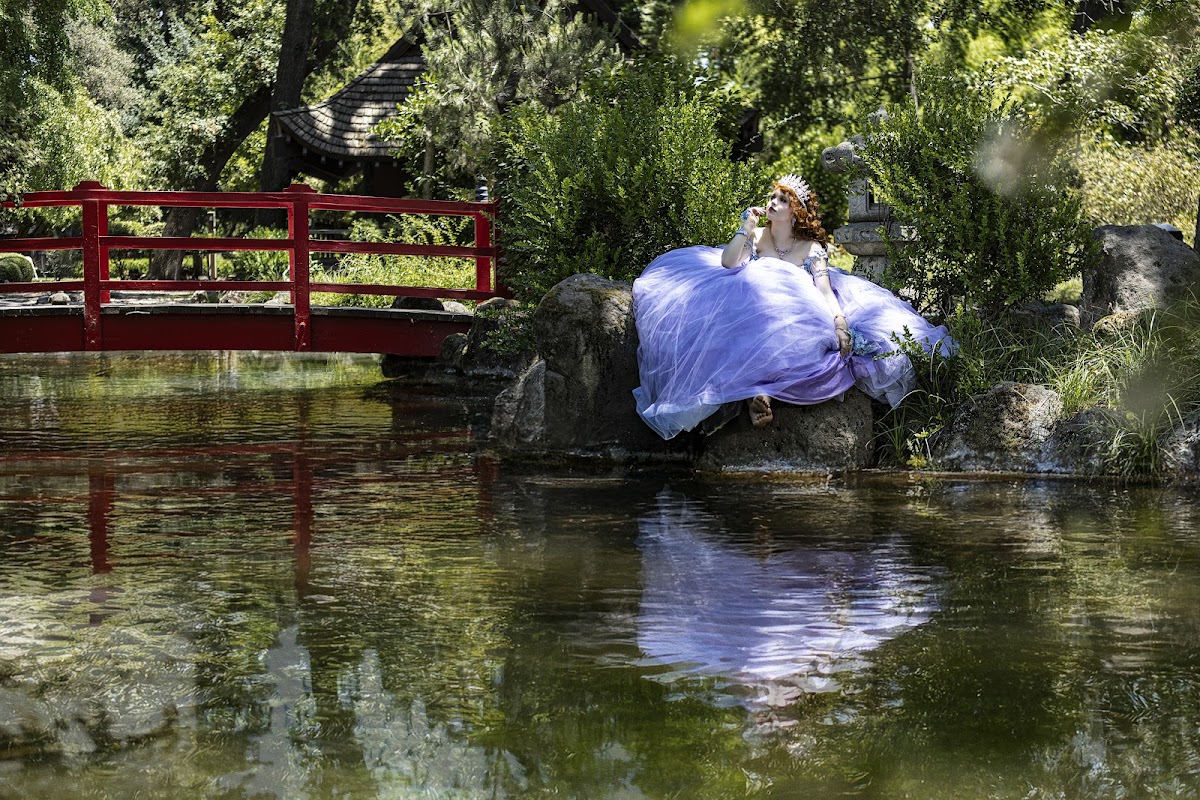 DAY DREAM LEGACY: Google Places image 4