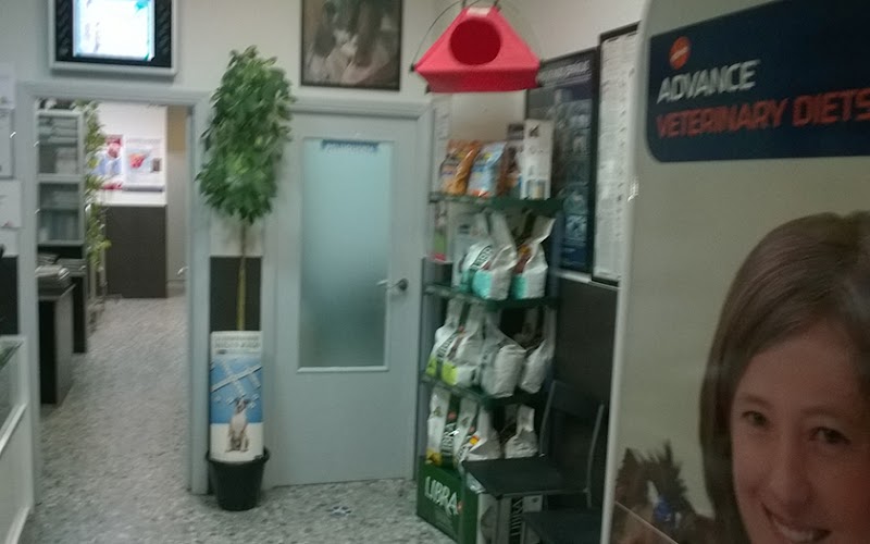 Centro Veterinario Monzon