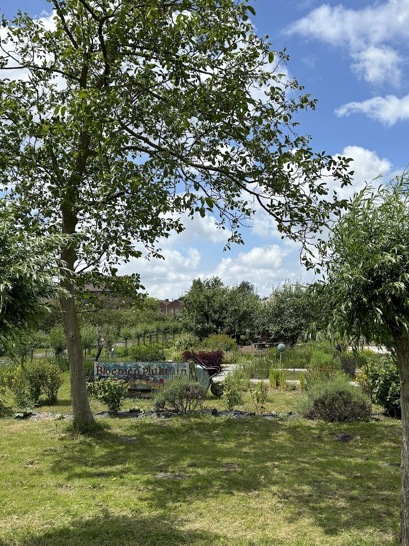 Buurttuin Zoete Aarde