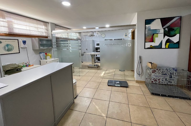 CLÍNICA VETERINARIA SÁNCHEZ Y RIBES