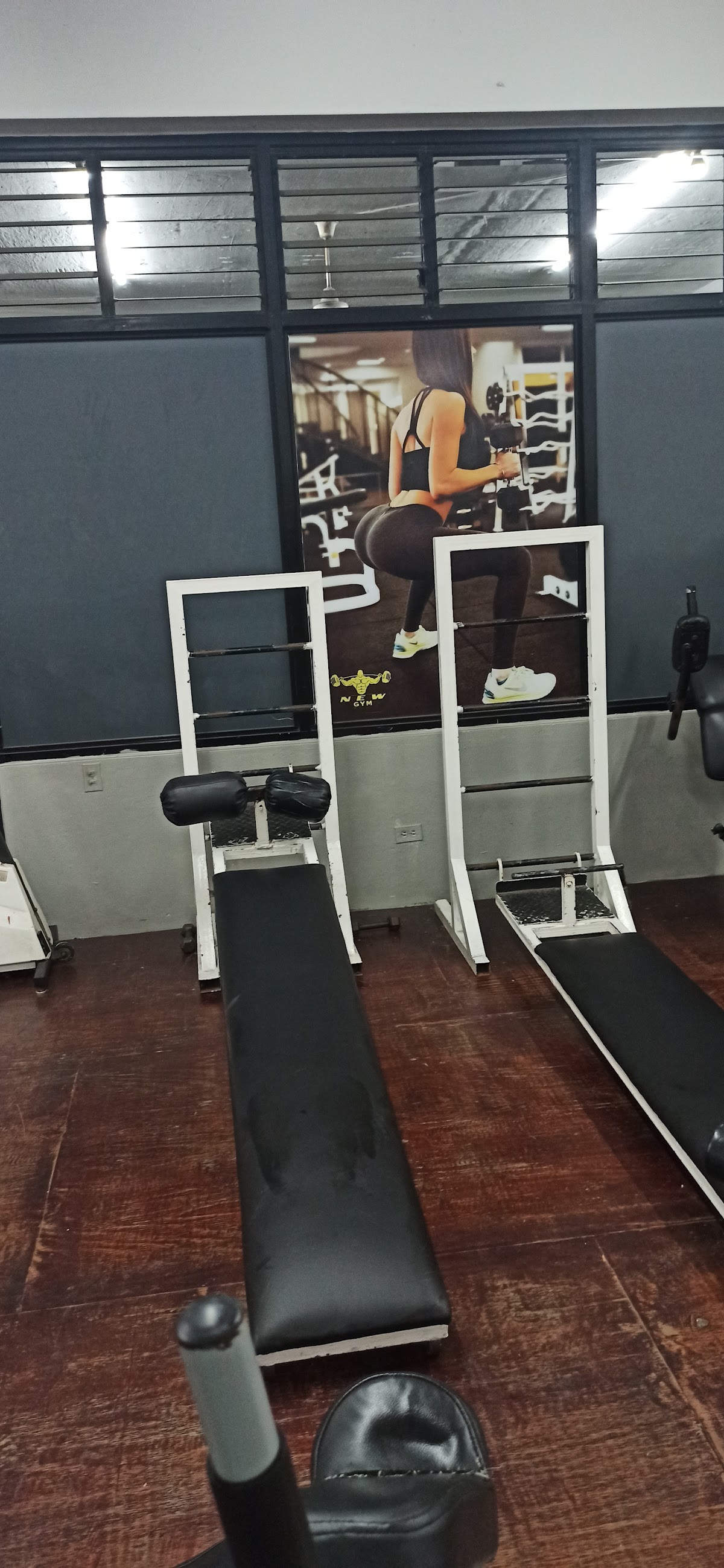 The New Gym - Imagen 3