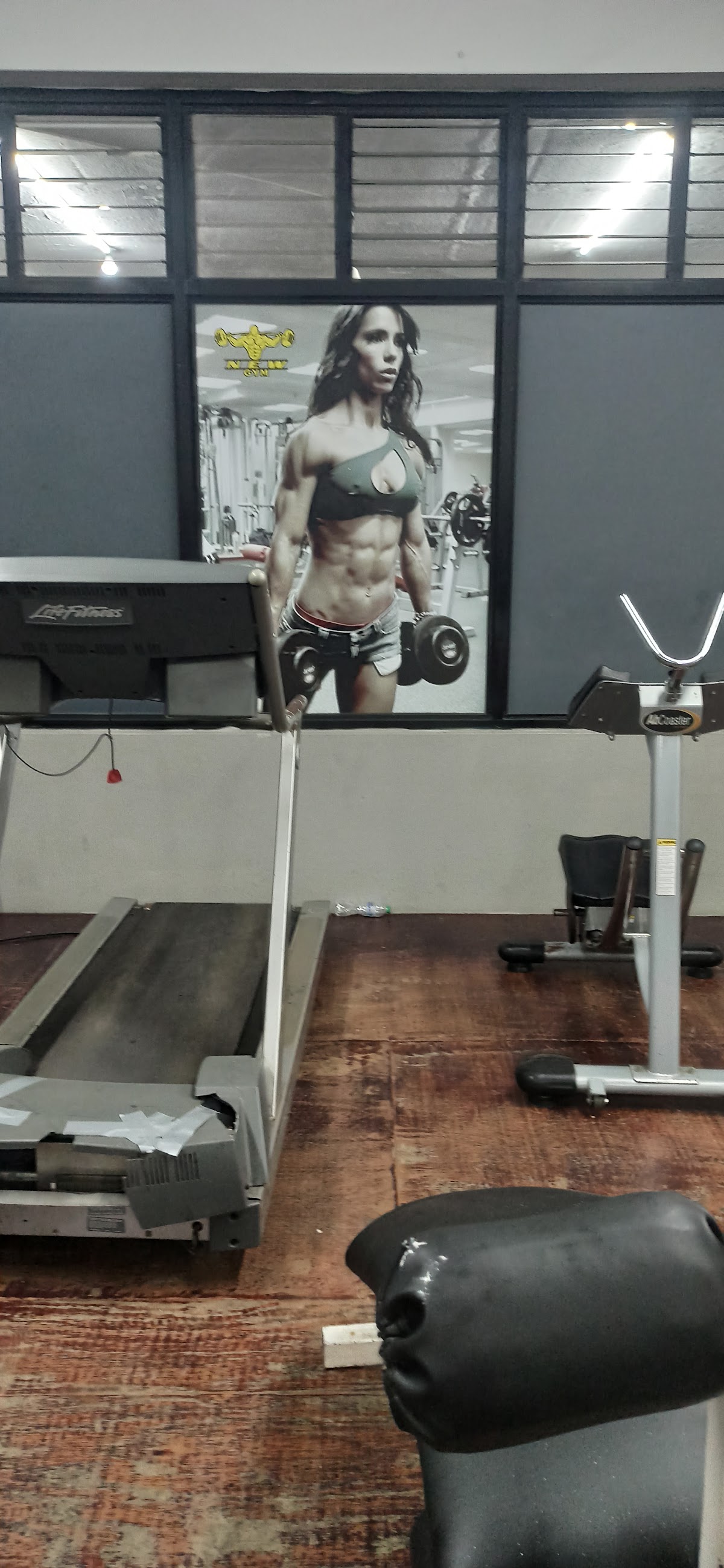 The New Gym - Imagen 2