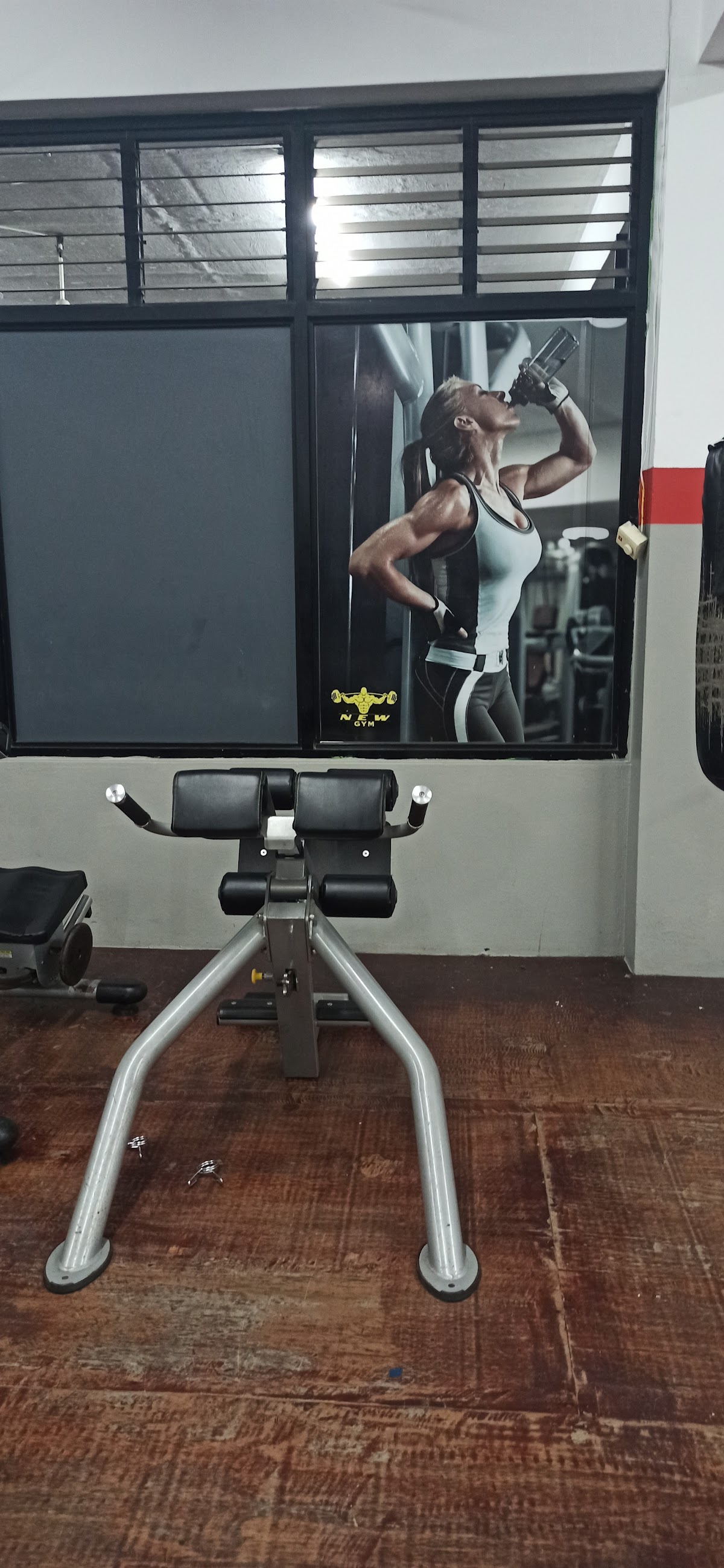 The New Gym - Imagen 1