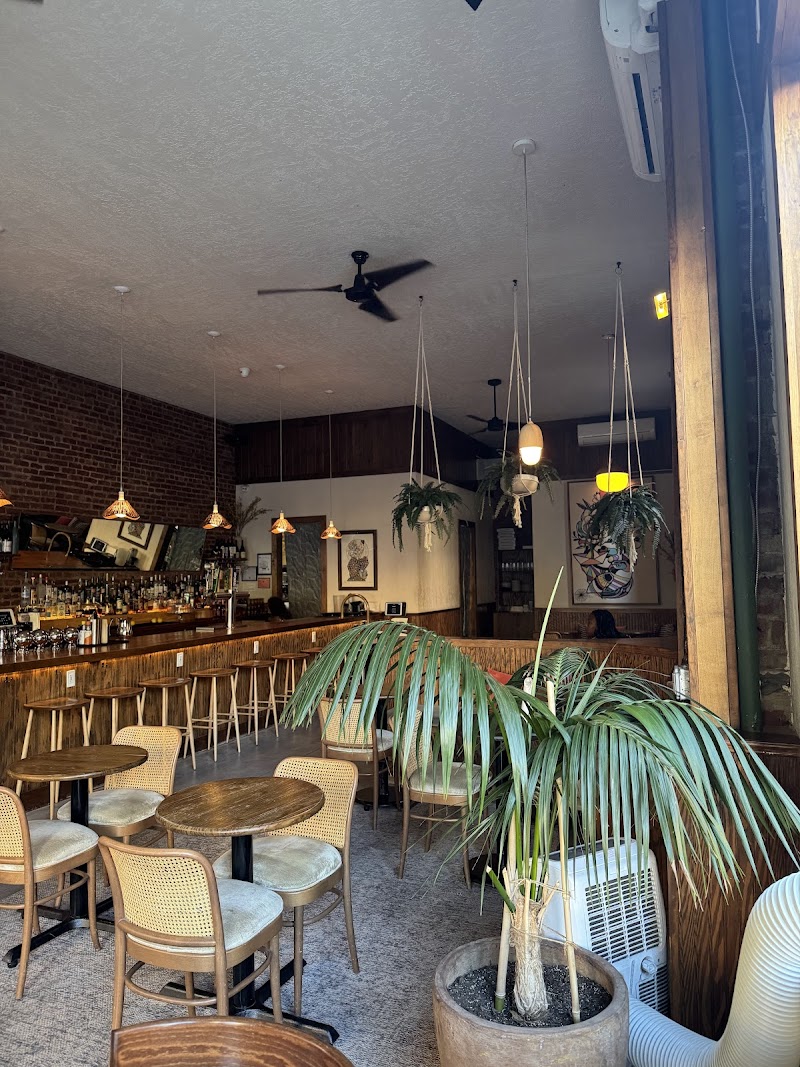 Lucille's Coffee and Cocktails photo 3