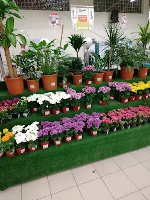 مدارس الغد النموذجية للبنات