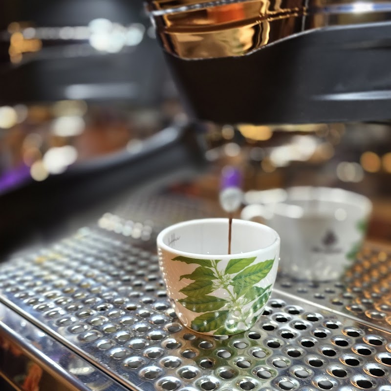 El Café de Dana photo 5