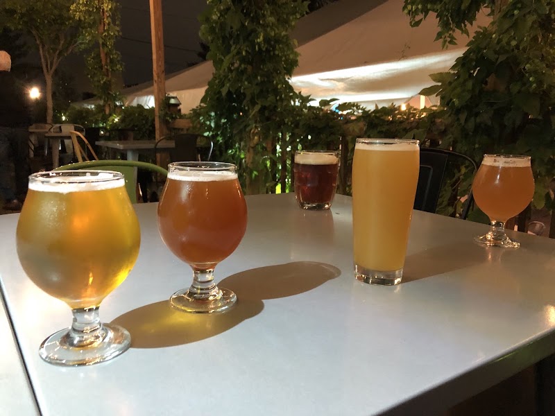 Wissahickon Brewing Company - East Falls photo 3