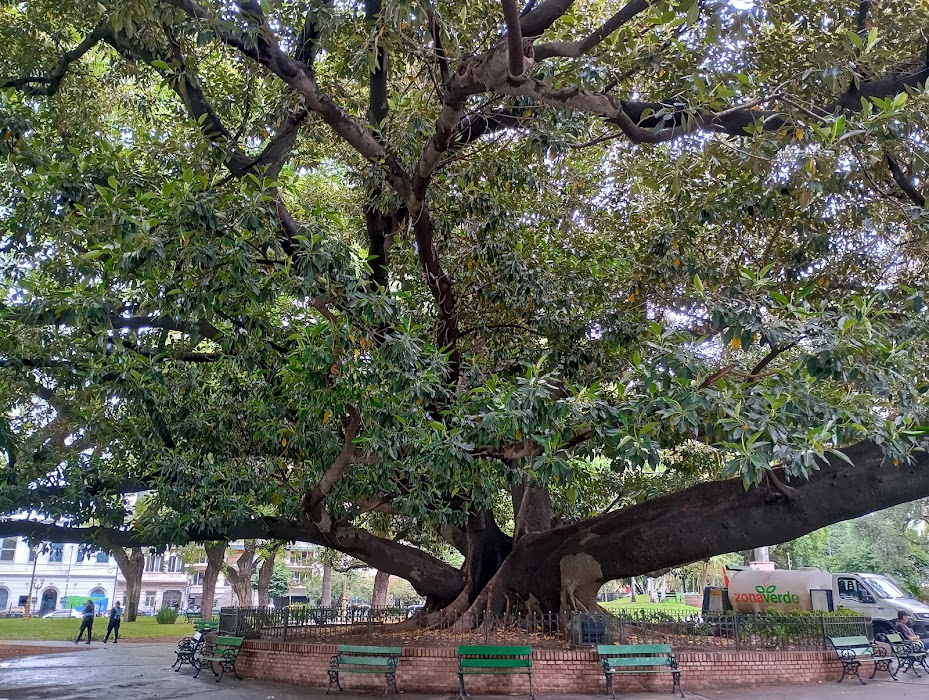 Parque Vicente López y Planes fotoğraf 1