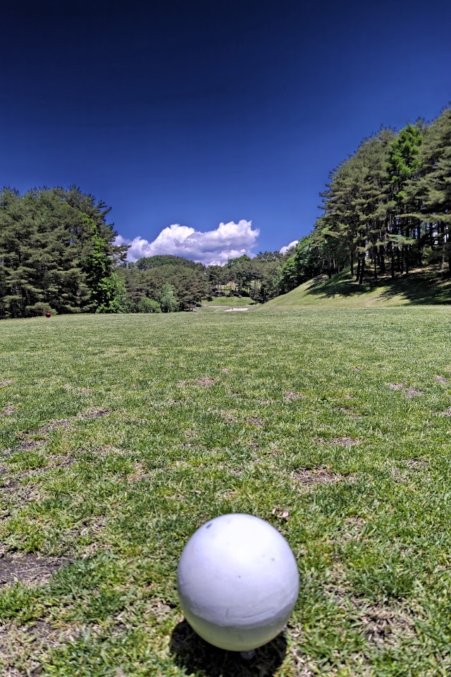 Suwa Lake Hill Country Club - Photo 10