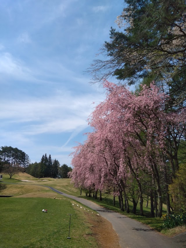 Suwa Lake Hill Country Club - Photo 8