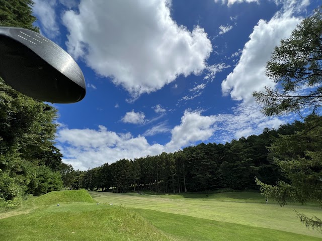Suwa Lake Hill Country Club - Photo 7