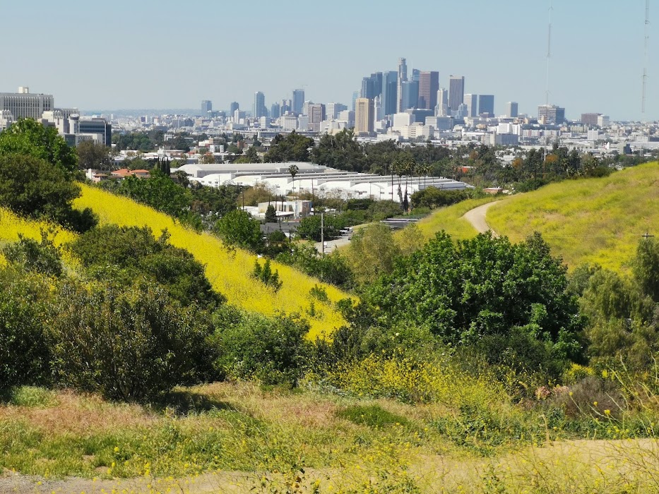 Ascot Hills Park fotoğraf 1