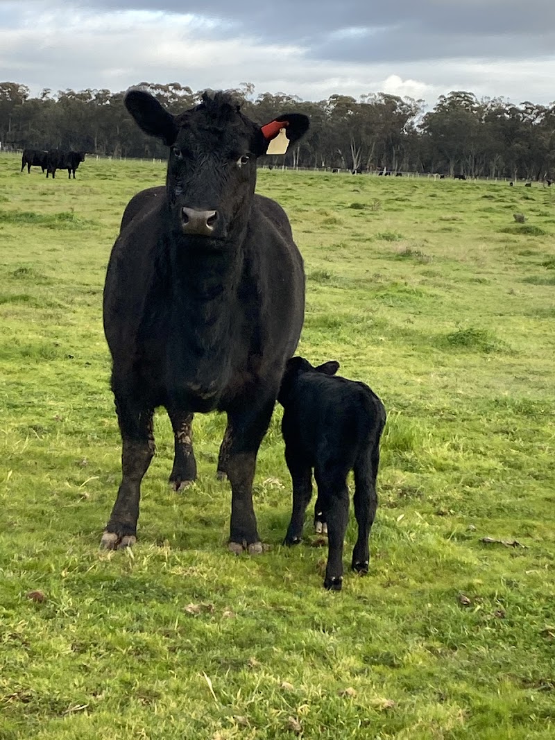 Flora Hill Quality Meats photo 10
