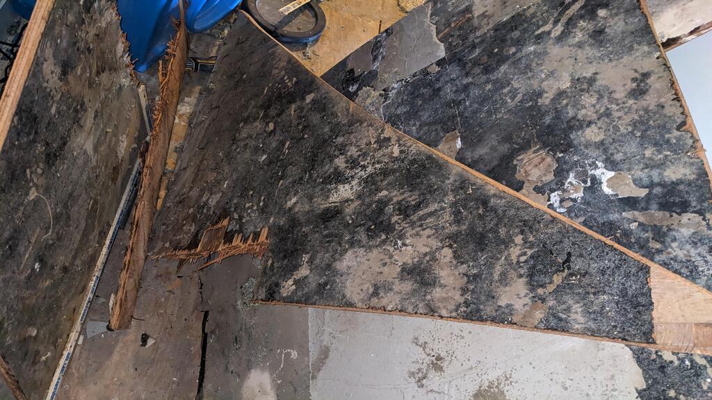 Affordable Mold Removal & Remodeling — photo