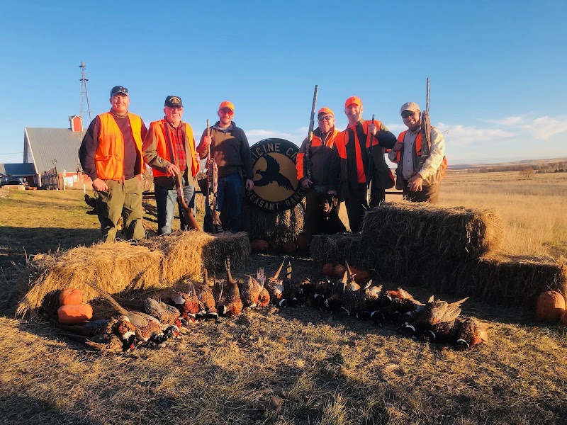 Medicine Creek Pheasant Ranch - Photo 6